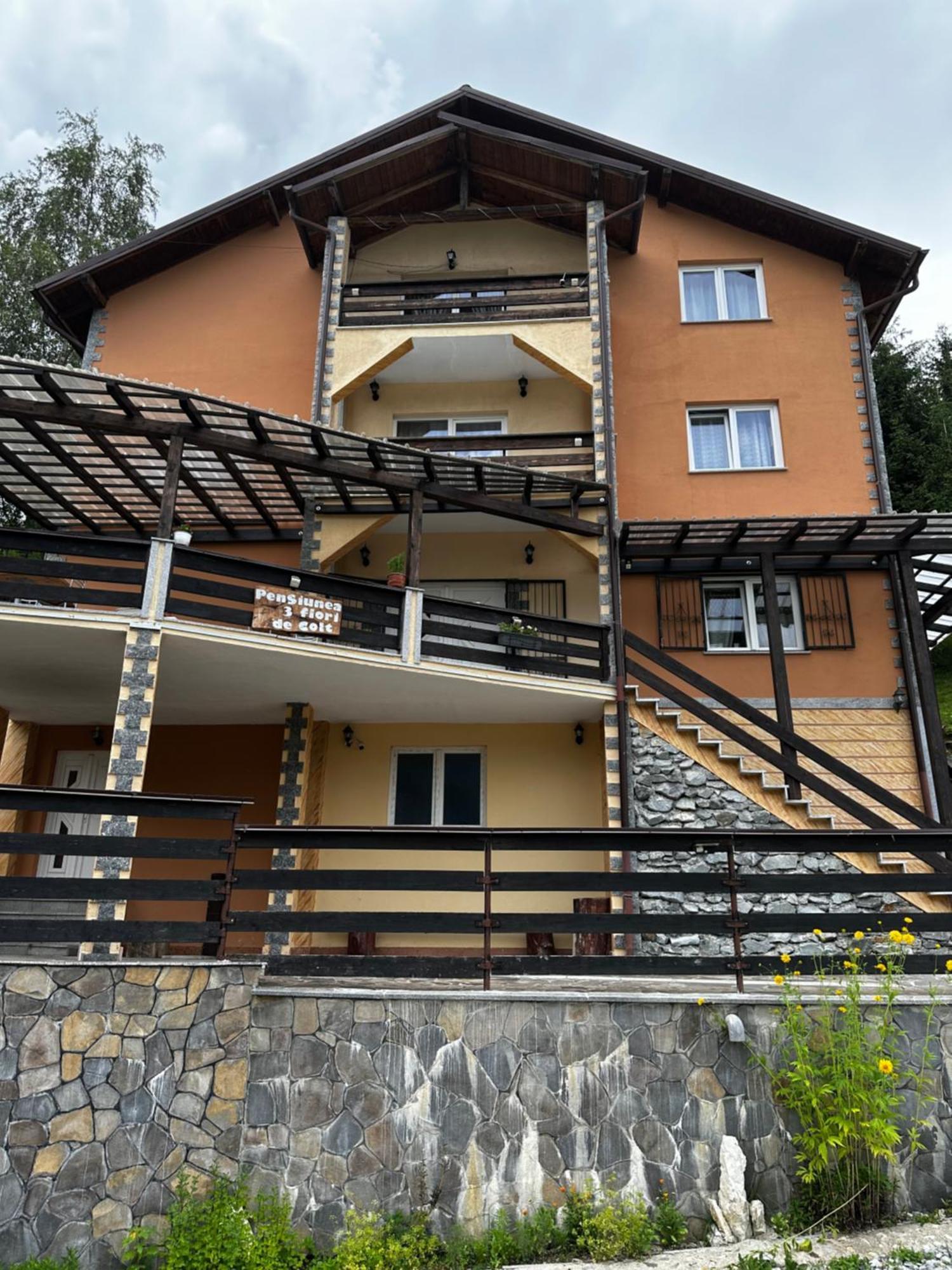Hotel Pensiunea 3Flori De Colt Statiunea Exterior foto